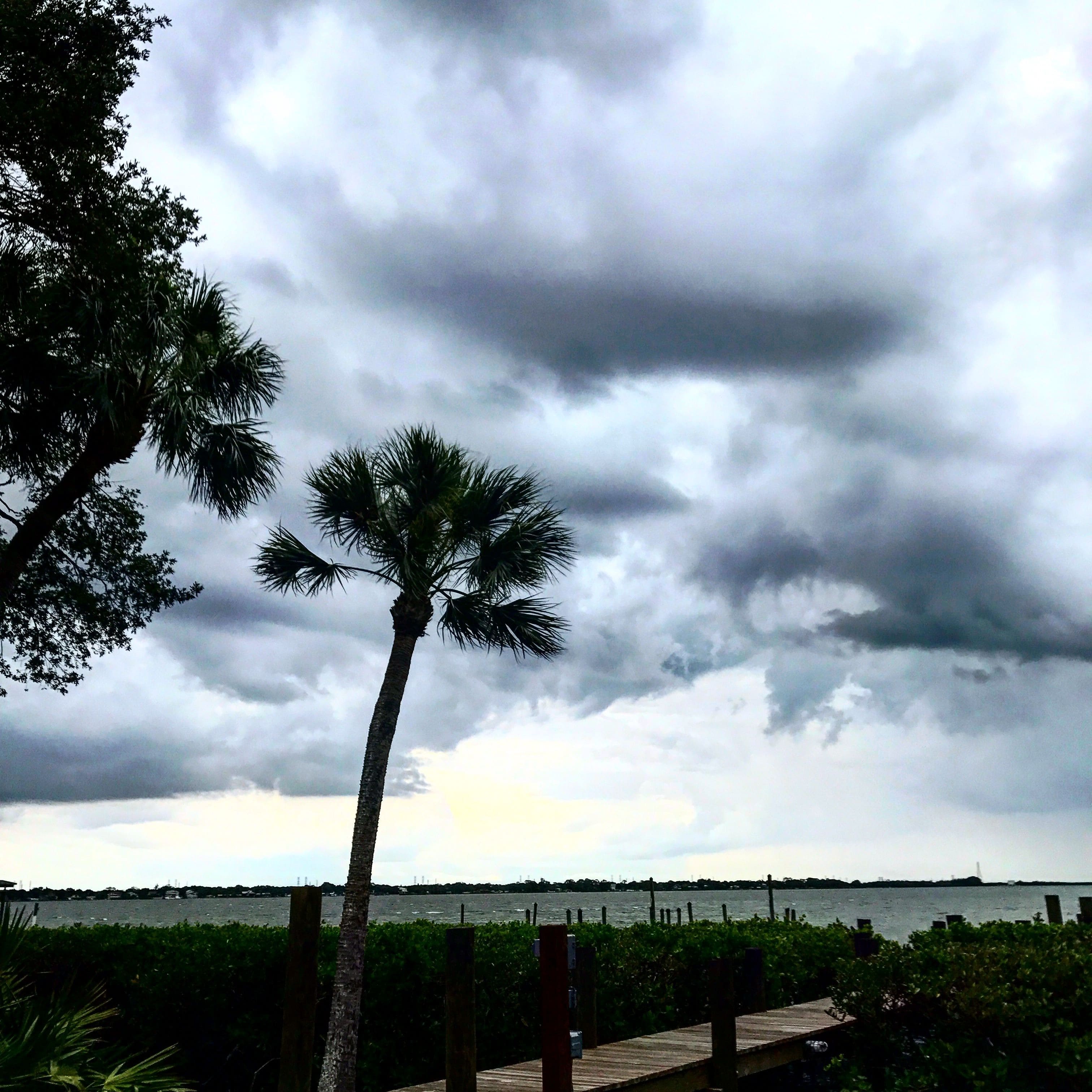 SHORE BLVD, OLDSMAR, FL